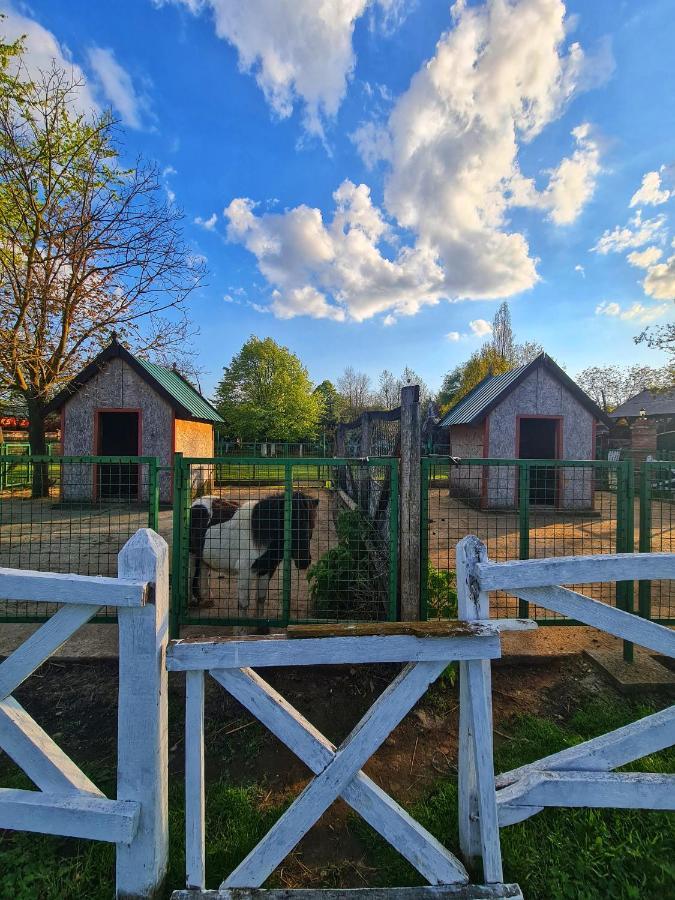 Wood Mood Apartman Tiganjica Stajicevo Екстер'єр фото