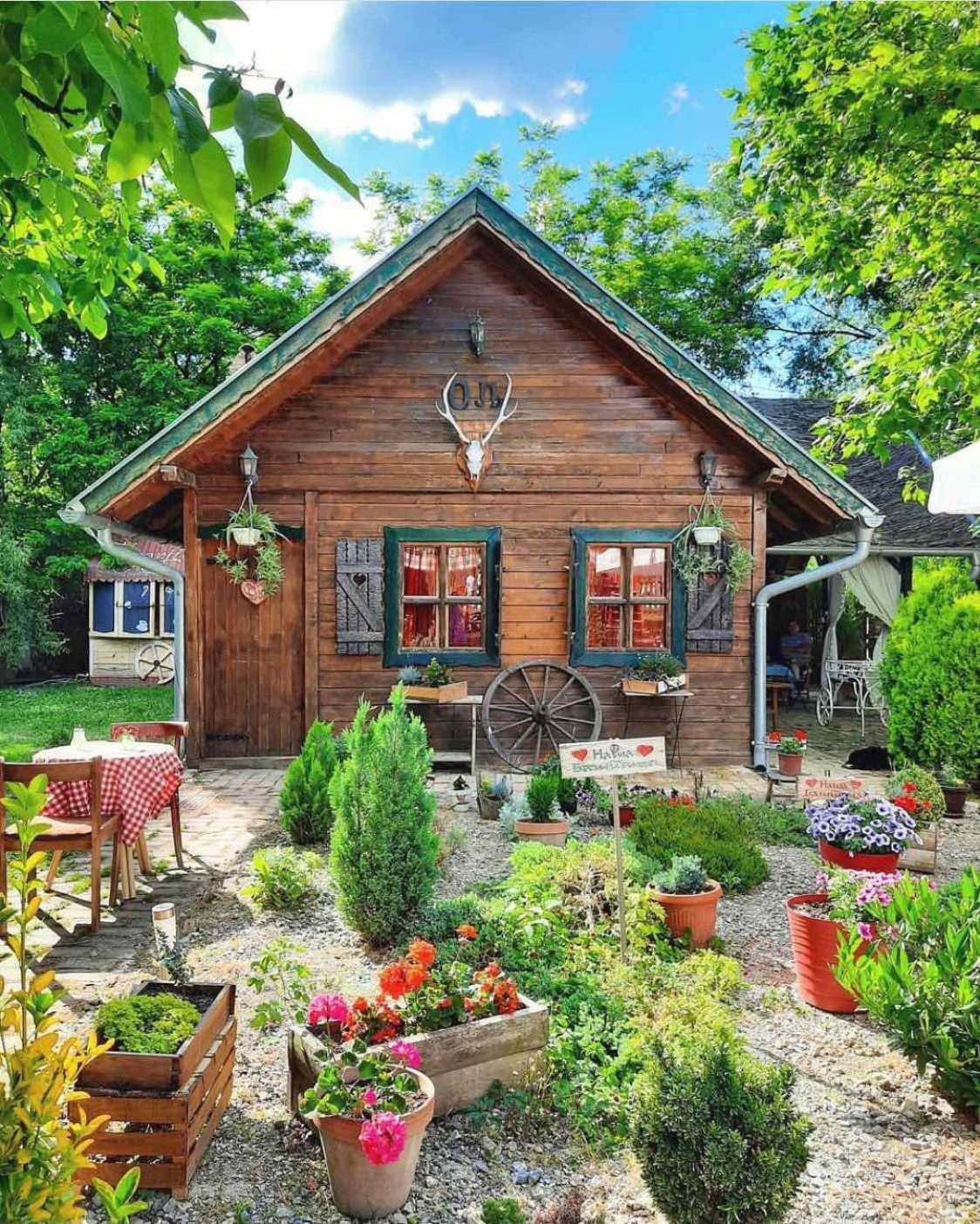 Wood Mood Apartman Tiganjica Stajicevo Екстер'єр фото